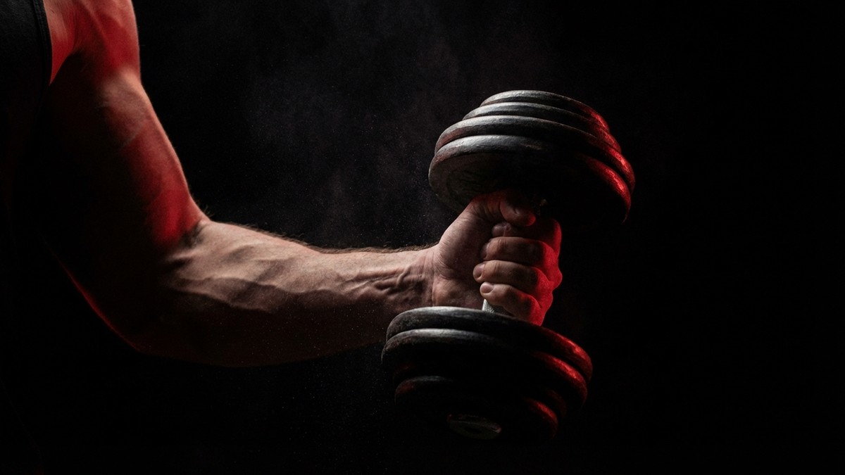 Forearm Workout Exercises