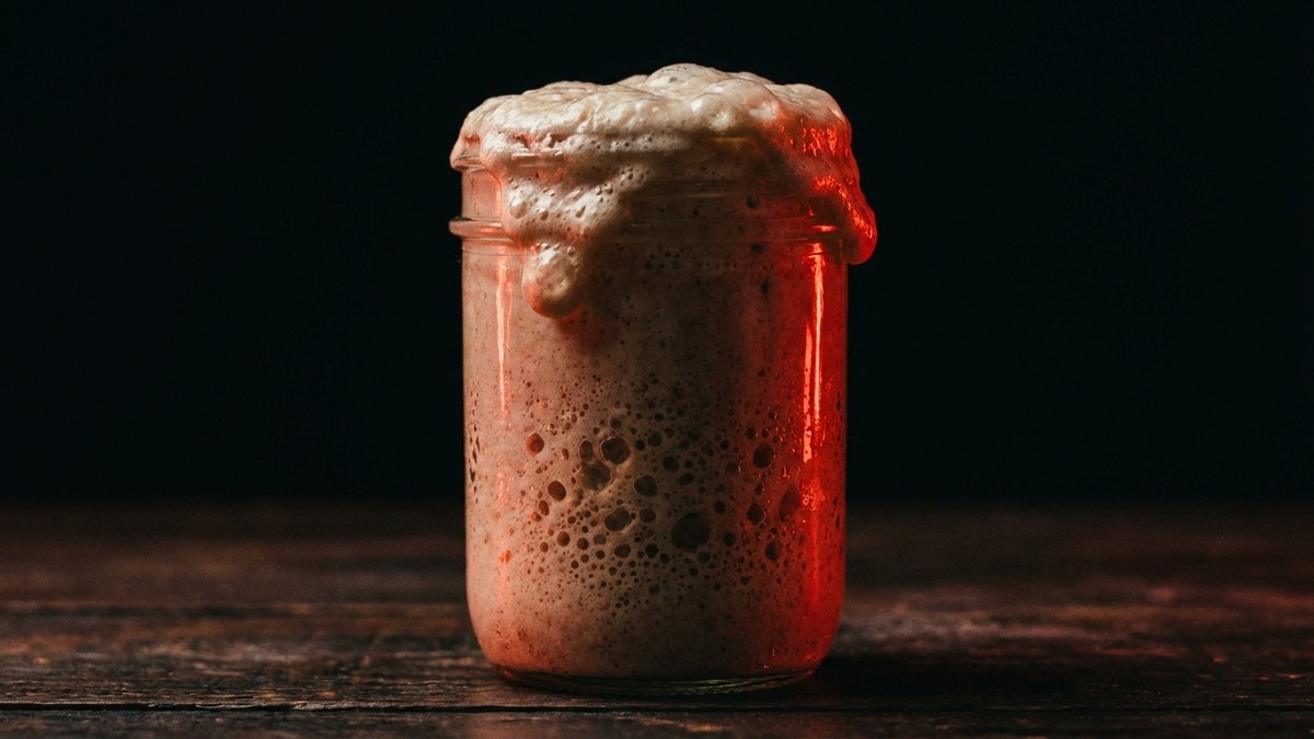 Sourdough Starter Recipes: What to Make With Your Starter
